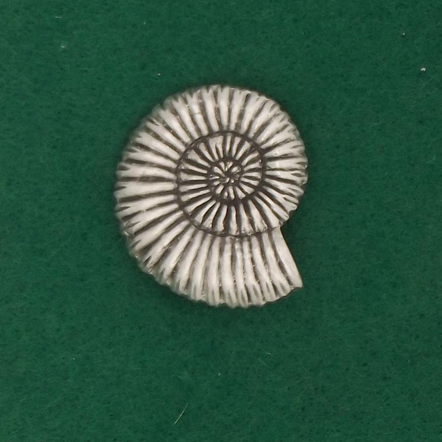 BR1570 Ammonite