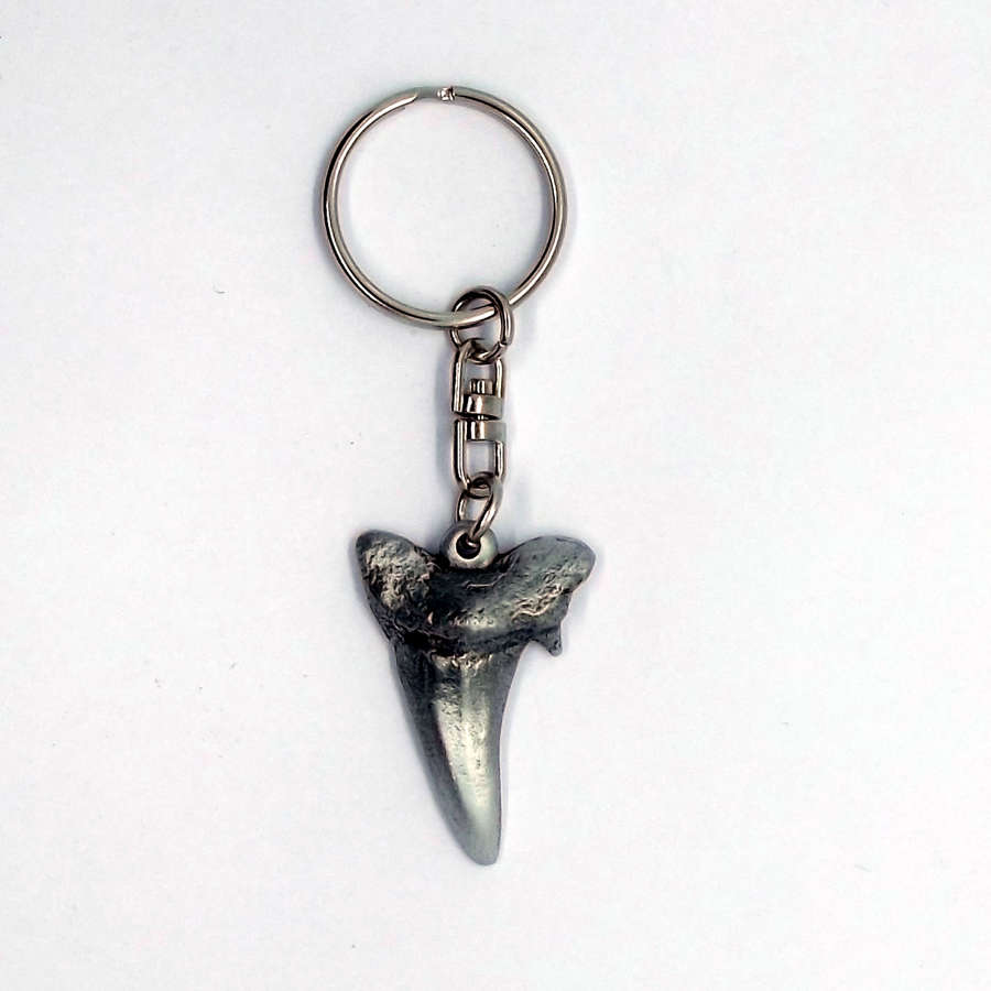 KR1698 Sharks Tooth