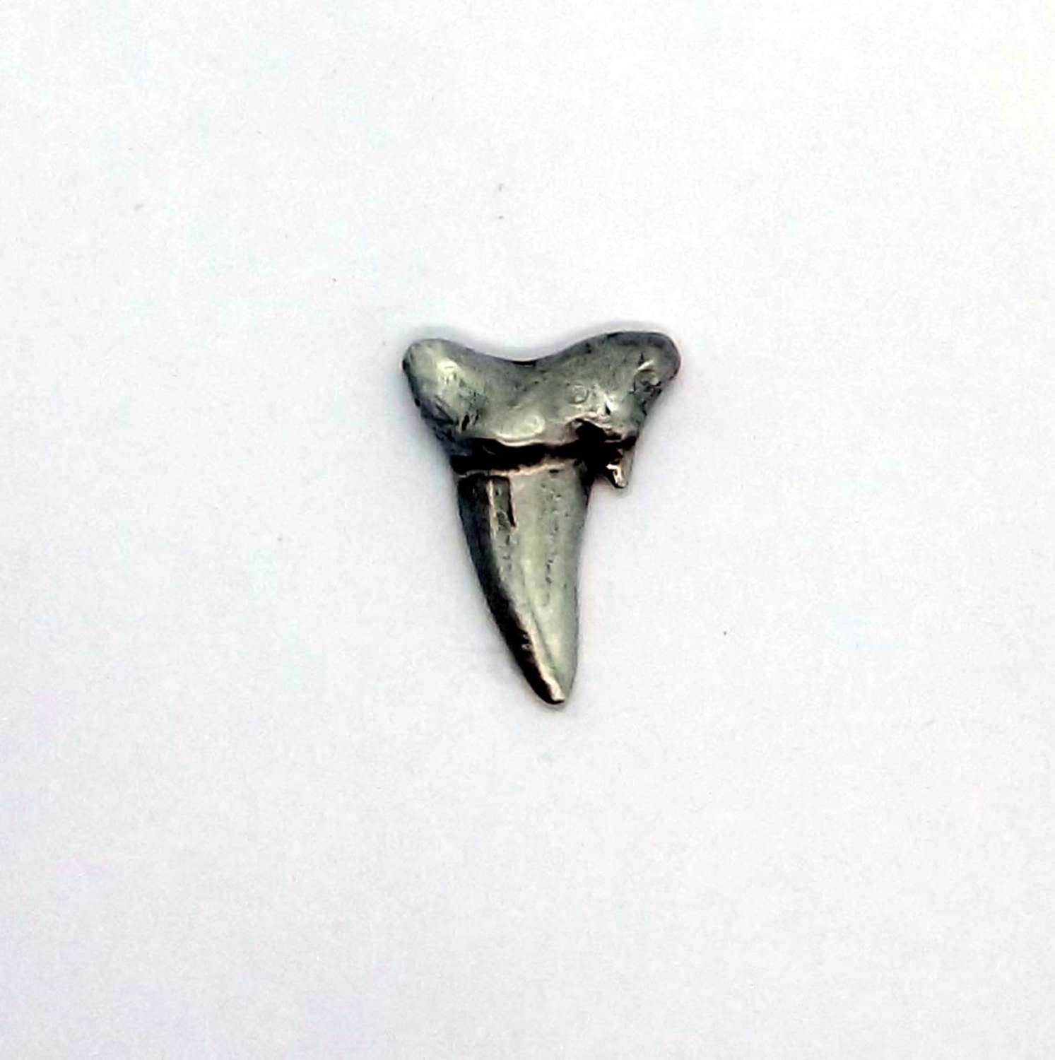 LP1697 Sharks Tooth